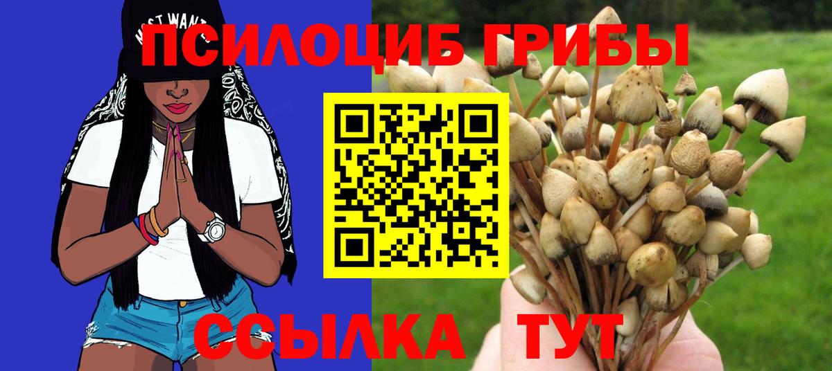 Галлюциногенные грибы прущие грибы Моздок