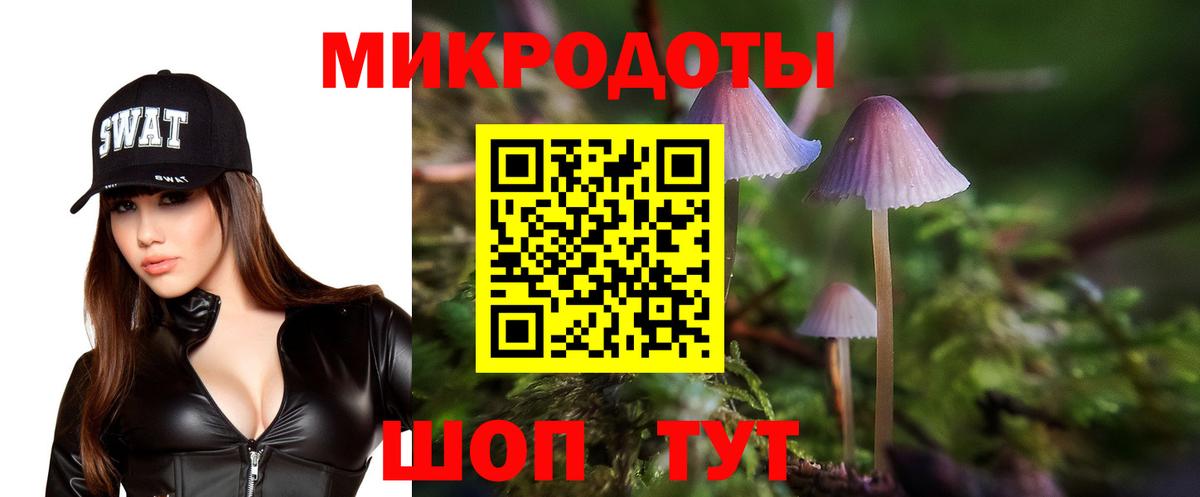 Моздок  Галлюциногенные грибы MAGIC MUSHROOMS  Вход с VPN 